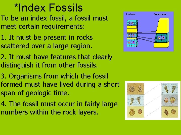 *Index Fossils To be an index fossil, a fossil must meet certain requirements: 1.