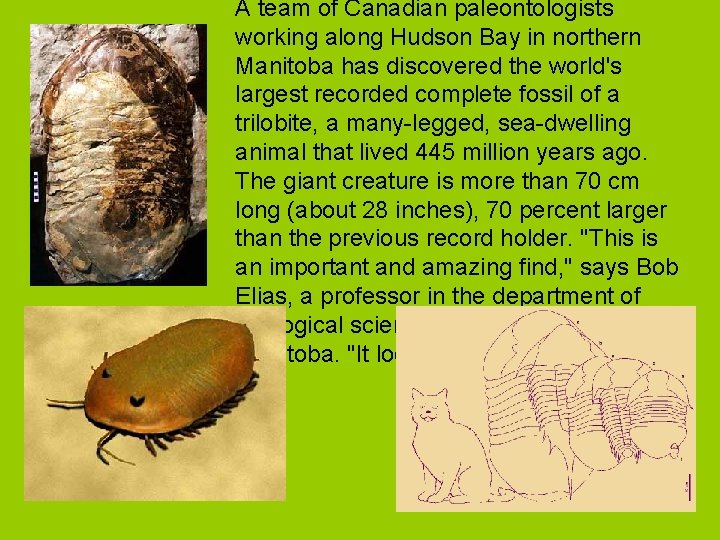 A team of Canadian paleontologists working along Hudson Bay in northern Manitoba has discovered