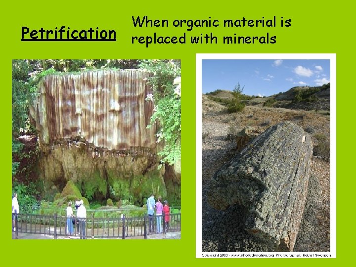 Petrification When organic material is replaced with minerals 