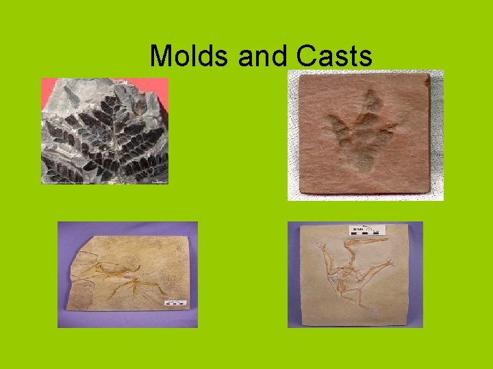 Molds and Casts 