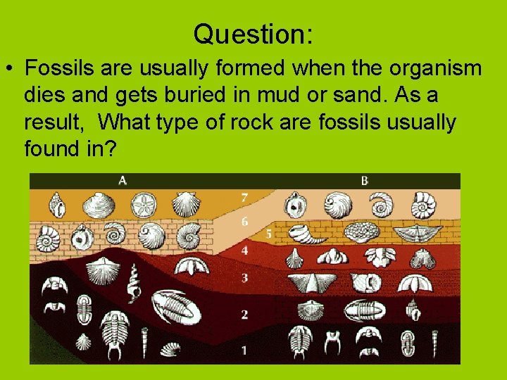 Question: • Fossils are usually formed when the organism dies and gets buried in