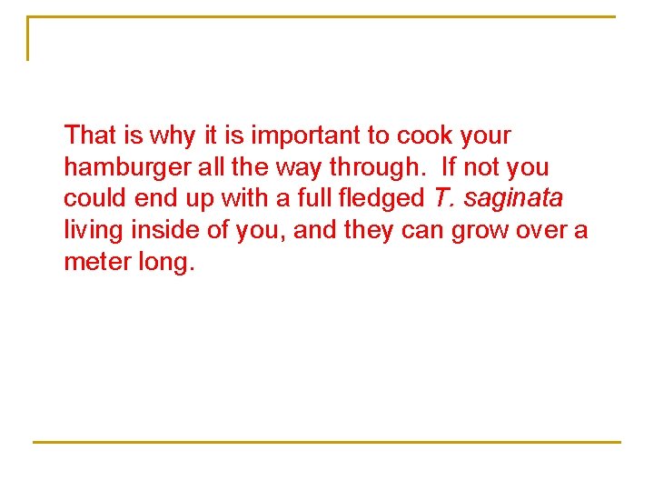 That is why it is important to cook your hamburger all the way through.