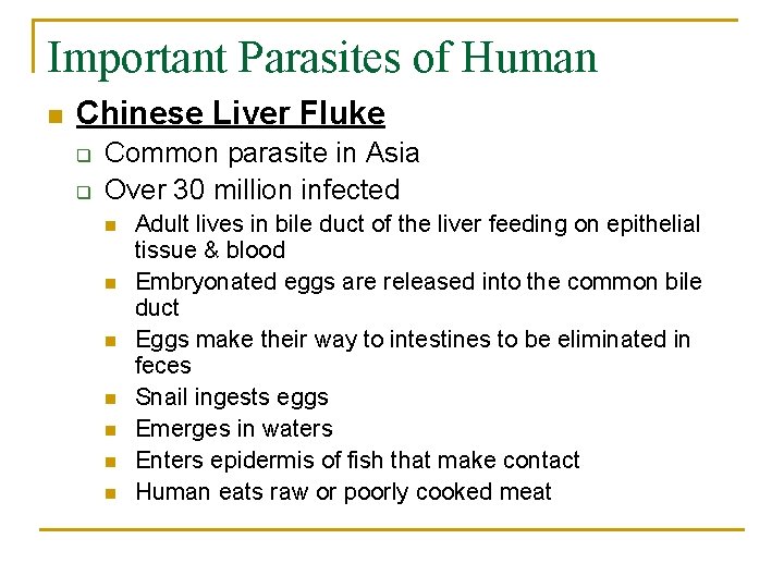 Important Parasites of Human n Chinese Liver Fluke q q Common parasite in Asia