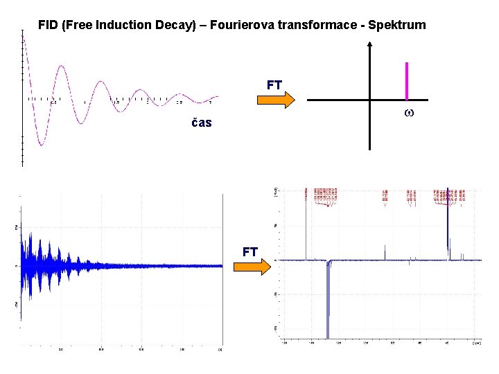 FID (Free Induction Decay) – Fourierova transformace - Spektrum FT w čas FT 