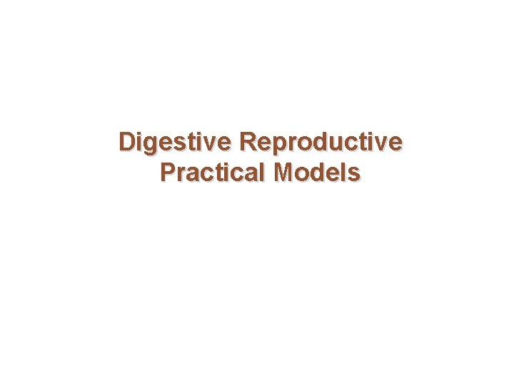 Digestive Reproductive Practical Models 