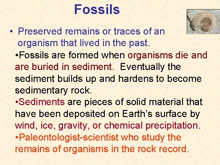 Fossils • Preserved remains or traces of an organism that lived in the past. Fossils • Preserved remains or traces of an organism that lived in the past.