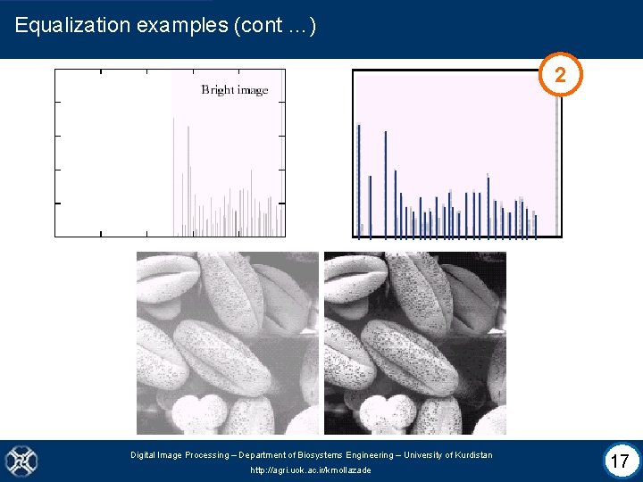 Equalization examples (cont …) 2 Digital Image Processing – Department of Biosystems Engineering –