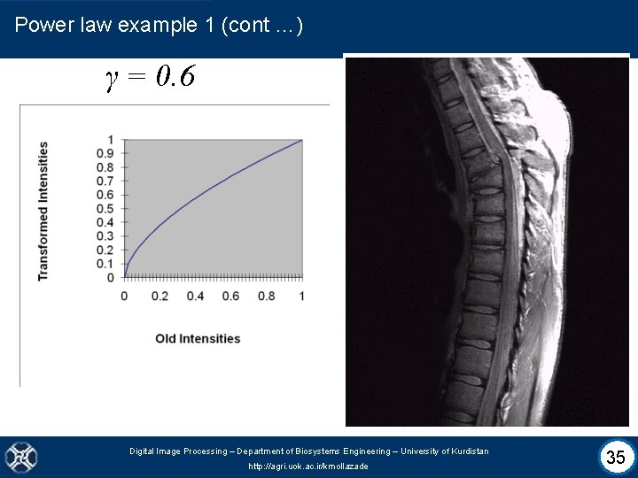 Power law example 1 (cont …) γ = 0. 6 Digital Image Processing –