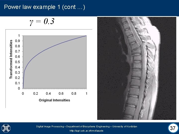 Power law example 1 (cont …) γ = 0. 3 Digital Image Processing –