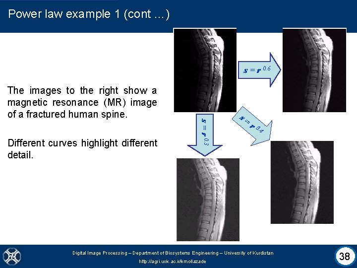 Power law example 1 (cont …) s = r 0. 6 Different curves highlight