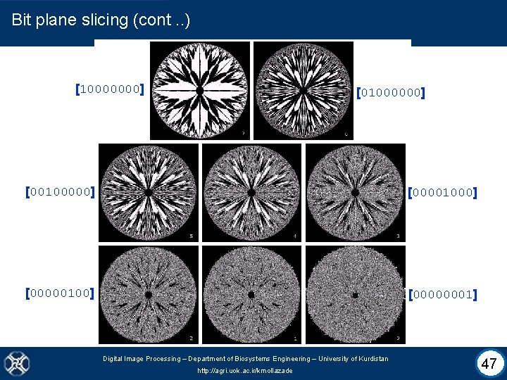 Bit plane slicing (cont. . ) [10000000] [01000000] [00100000] [00001000] [00000100] [00000001] Digital Image