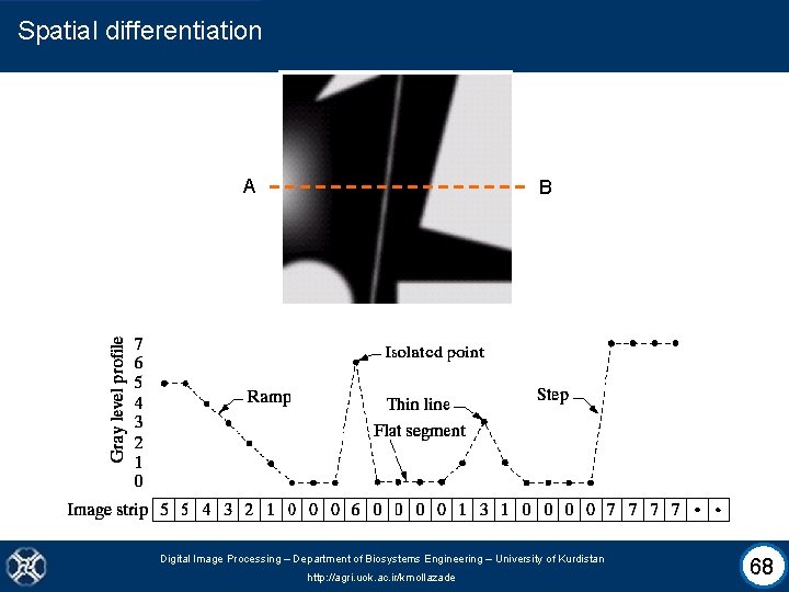 Spatial differentiation A B Digital Image Processing – Department of Biosystems Engineering – University