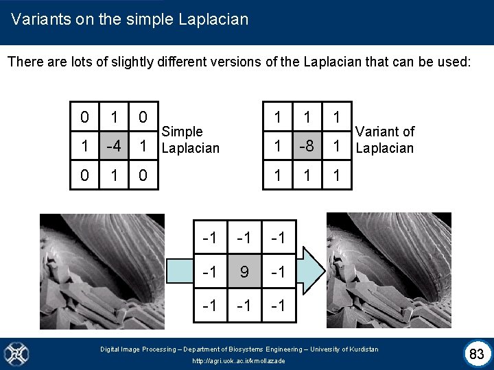 Variants on the simple Laplacian There are lots of slightly different versions of the