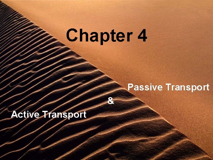 Chapter 4 Passive Transport & Active Transport 