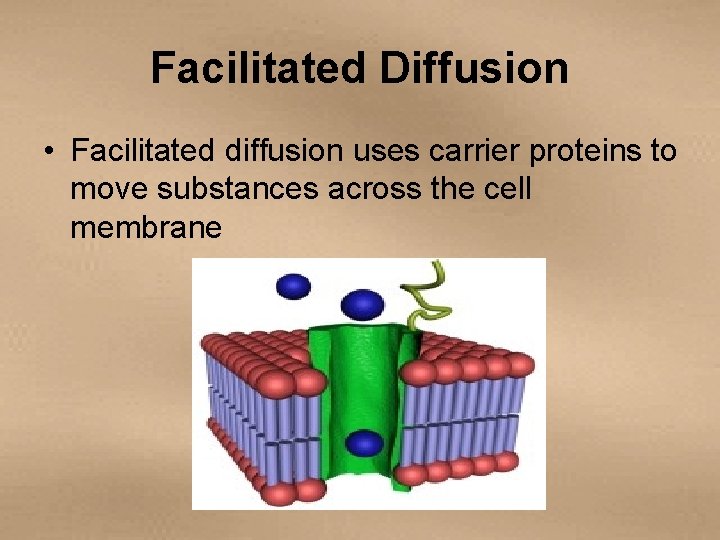 Facilitated Diffusion • Facilitated diffusion uses carrier proteins to move substances across the cell