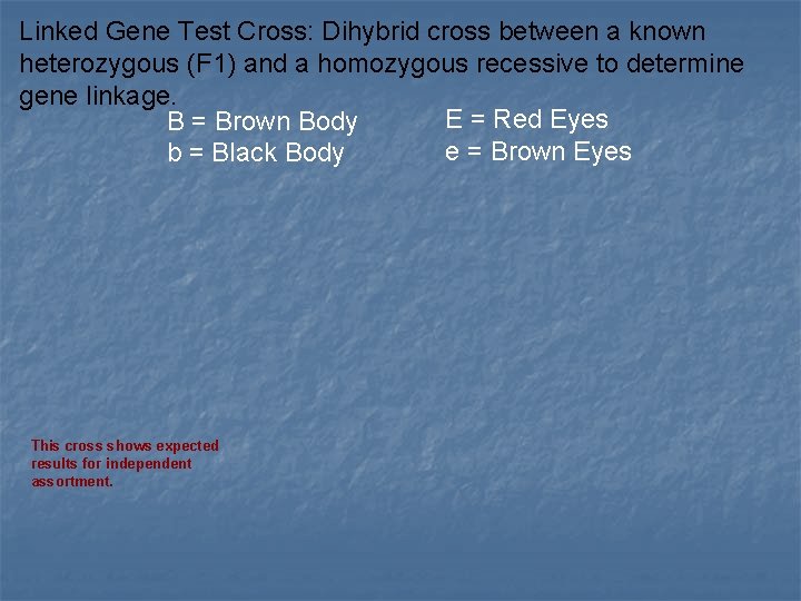 Linked Gene Test Cross: Dihybrid cross between a known heterozygous (F 1) and a