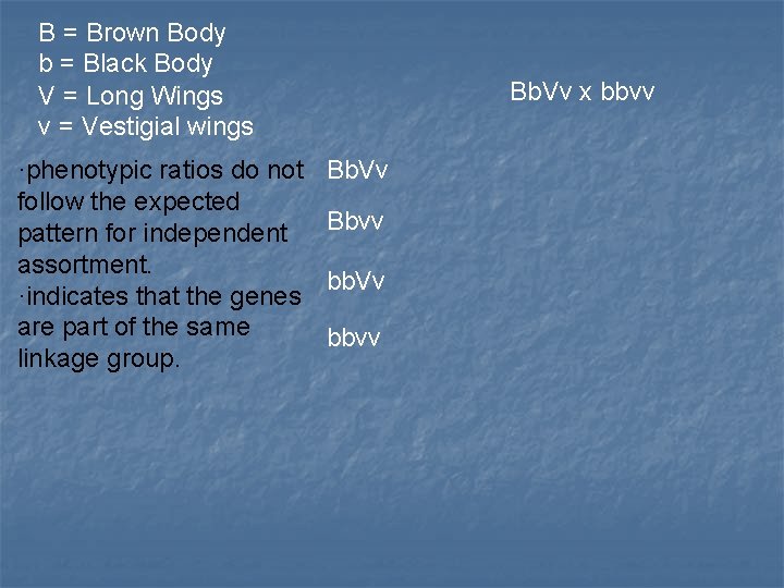 B = Brown Body b = Black Body V = Long Wings v =