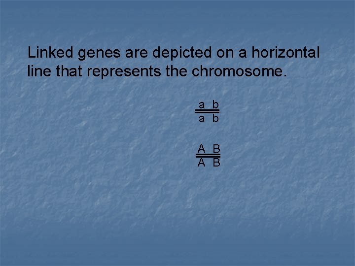 Linked genes are depicted on a horizontal line that represents the chromosome. a b