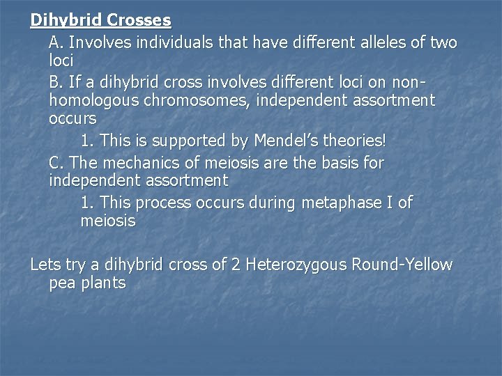 Dihybrid Crosses A. Involves individuals that have different alleles of two loci B. If