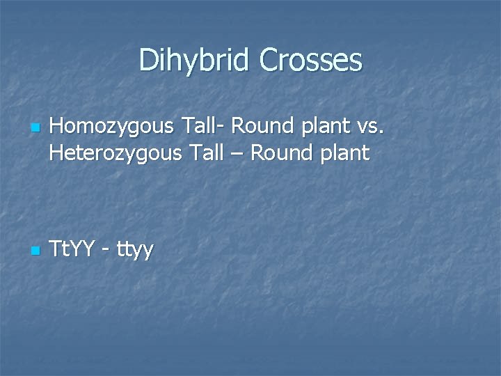 Dihybrid Crosses n n Homozygous Tall- Round plant vs. Heterozygous Tall – Round plant