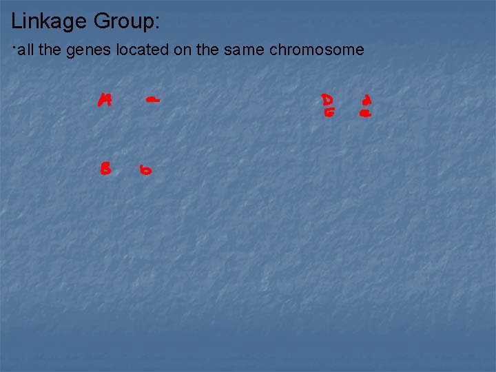 Linkage Group: ·all the genes located on the same chromosome 