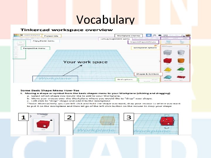 Vocabulary 