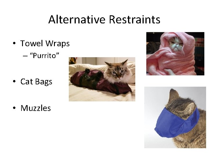 Alternative Restraints • Towel Wraps – “Purrito” • Cat Bags • Muzzles 