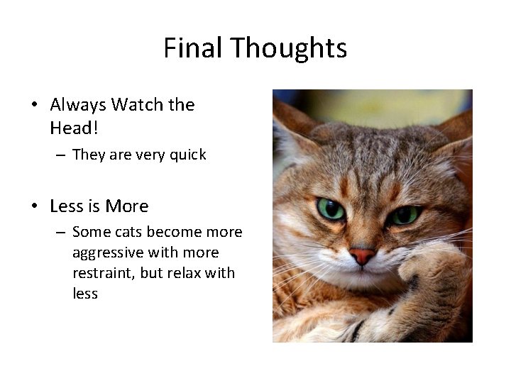 Final Thoughts • Always Watch the Head! – They are very quick • Less