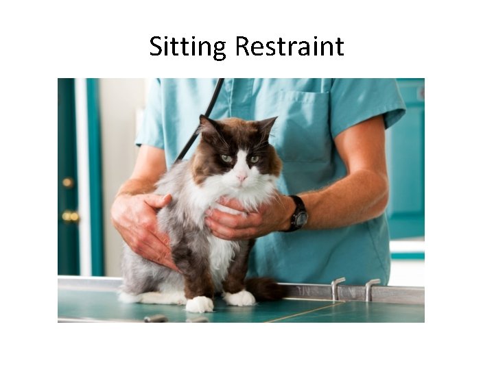 Sitting Restraint 