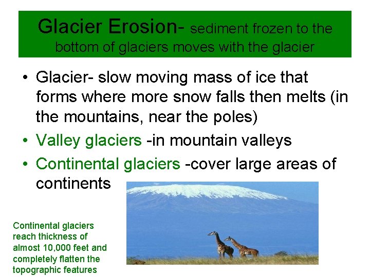 Glacier Erosion- sediment frozen to the bottom of glaciers moves with the glacier •