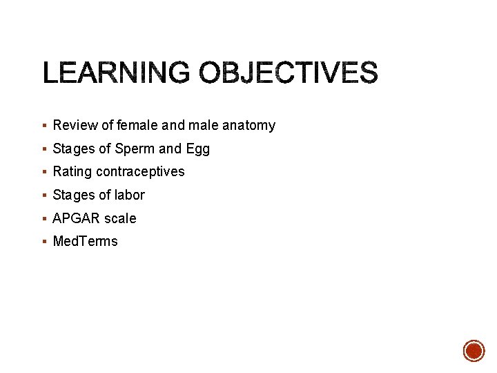 § Review of female and male anatomy § Stages of Sperm and Egg §