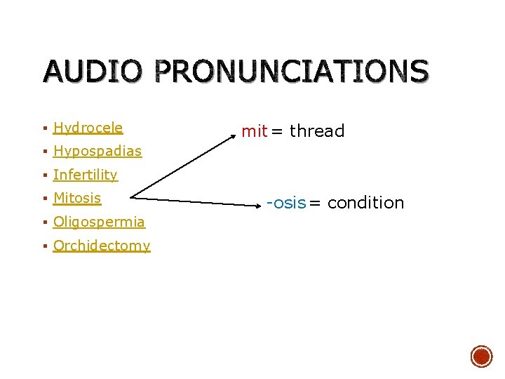 AUDIO PRONUNCIATIONS § Hydrocele mit = thread § Hypospadias § Infertility § Mitosis §