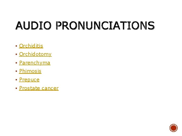 AUDIO PRONUNCIATIONS § Orchiditis § Orchidotomy § Parenchyma § Phimosis § Prepuce § Prostate