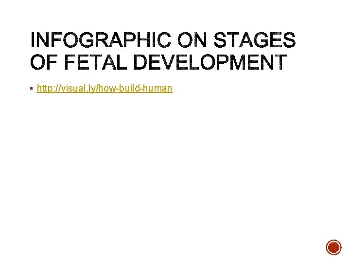 § http: //visual. ly/how-build-human 