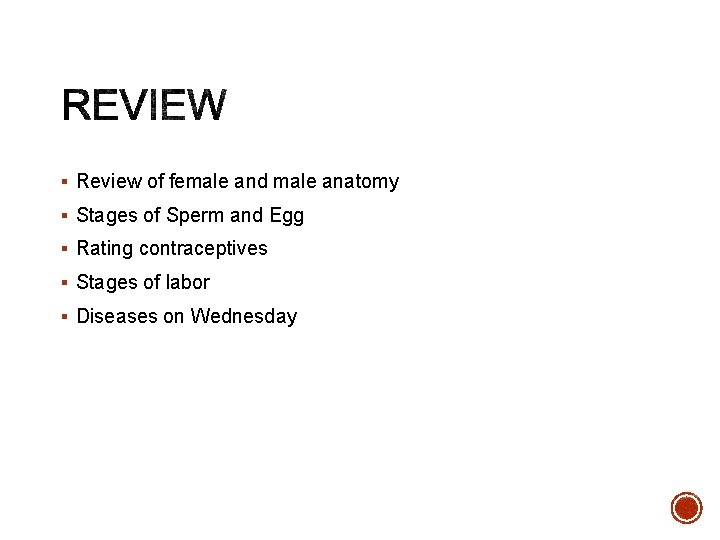 § Review of female and male anatomy § Stages of Sperm and Egg §