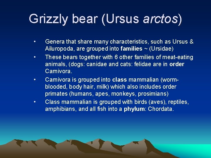 Grizzly bear (Ursus arctos) • • Genera that share many characteristics, such as Ursus