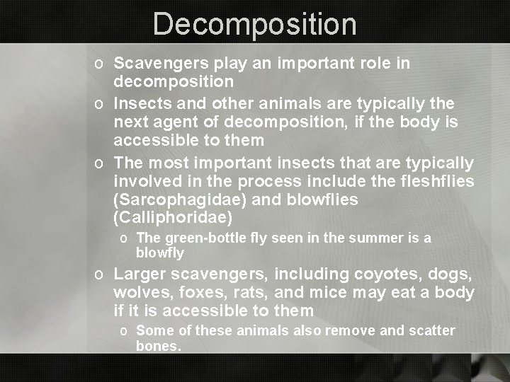 Decomposition o Scavengers play an important role in decomposition o Insects and other animals