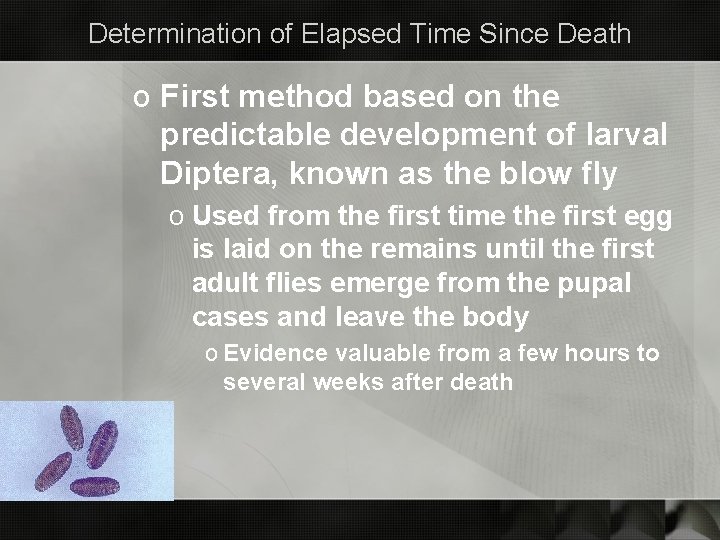 Determination of Elapsed Time Since Death o First method based on the predictable development