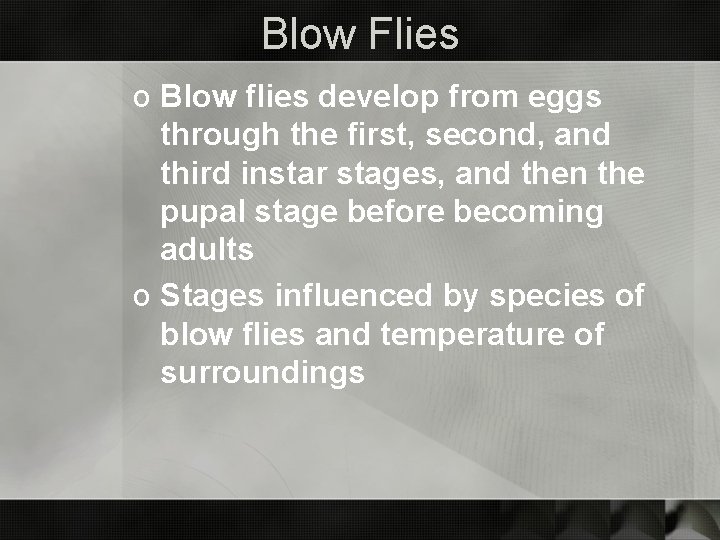 Blow Flies o Blow flies develop from eggs through the first, second, and third