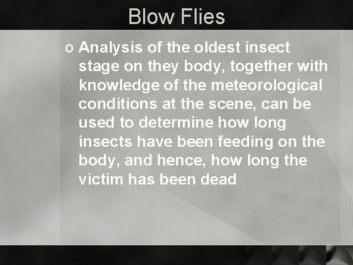 Blow Flies o Analysis of the oldest insect stage on they body, together with