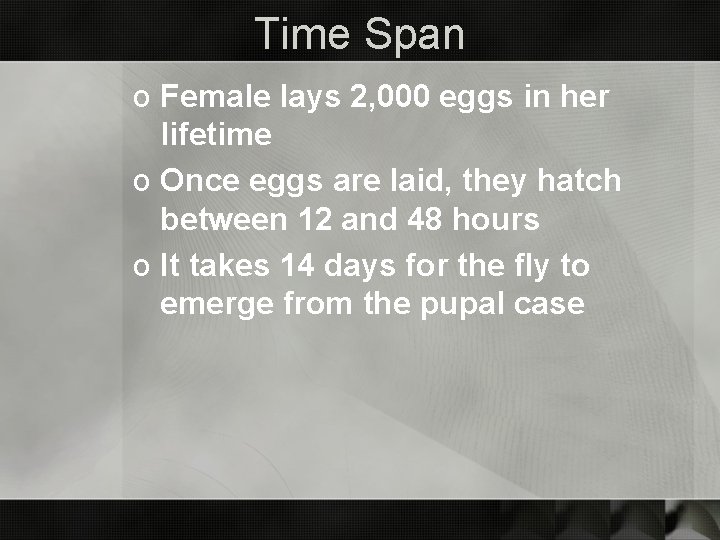 Time Span o Female lays 2, 000 eggs in her lifetime o Once eggs