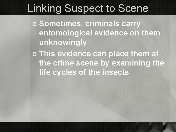 Linking Suspect to Scene o Sometimes, criminals carry entomological evidence on them unknowingly o