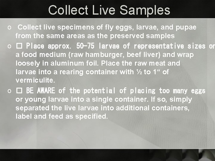 Collect Live Samples o Collect live specimens of fly eggs, larvae, and pupae from