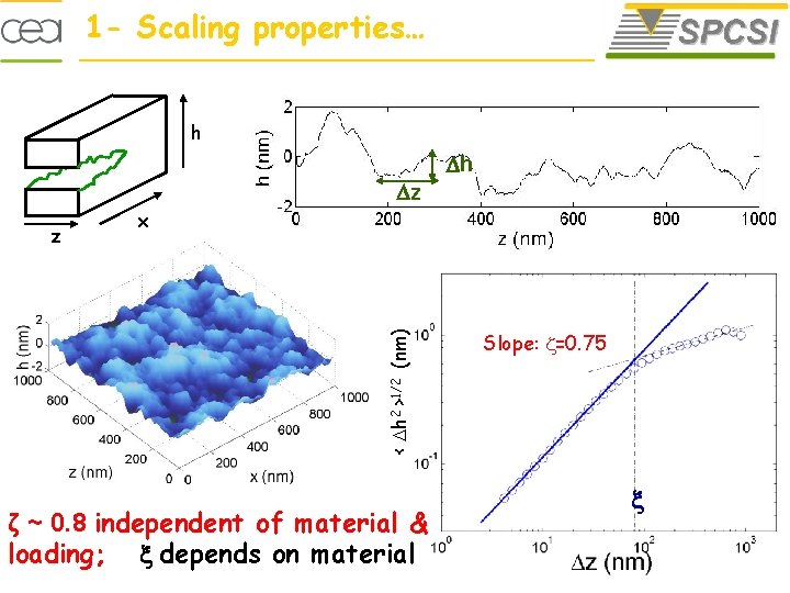 1 - Scaling properties… h h z < h 2 >1/2 (nm) z x
