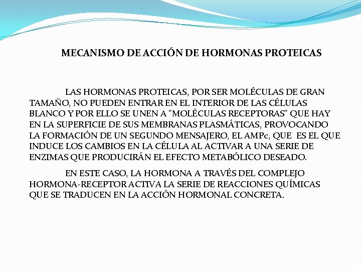 MECANISMO DE ACCIÓN DE HORMONAS PROTEICAS LAS HORMONAS PROTEICAS, POR SER MOLÉCULAS DE GRAN MECANISMO DE ACCIÓN DE HORMONAS PROTEICAS LAS HORMONAS PROTEICAS, POR SER MOLÉCULAS DE GRAN