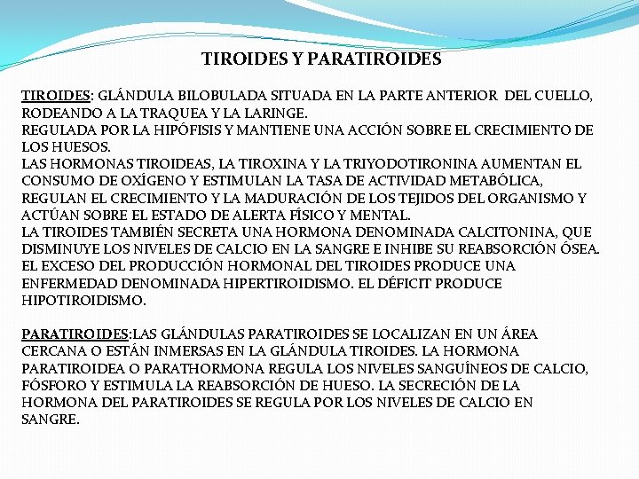 TIROIDES Y PARATIROIDES TIROIDES: GLÁNDULA BILOBULADA SITUADA EN LA PARTE ANTERIOR DEL CUELLO, TIROIDES Y PARATIROIDES TIROIDES: GLÁNDULA BILOBULADA SITUADA EN LA PARTE ANTERIOR DEL CUELLO,