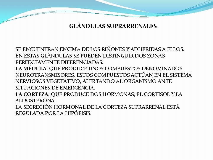 GLÁNDULAS SUPRARRENALES SE ENCUENTRAN ENCIMA DE LOS RIÑONES Y ADHERIDAS A ELLOS. EN ESTAS GLÁNDULAS SUPRARRENALES SE ENCUENTRAN ENCIMA DE LOS RIÑONES Y ADHERIDAS A ELLOS. EN ESTAS