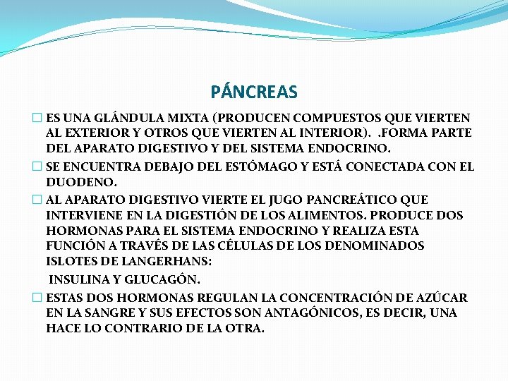 PÁNCREAS � ES UNA GLÁNDULA MIXTA (PRODUCEN COMPUESTOS QUE VIERTEN AL EXTERIOR Y OTROS PÁNCREAS � ES UNA GLÁNDULA MIXTA (PRODUCEN COMPUESTOS QUE VIERTEN AL EXTERIOR Y OTROS