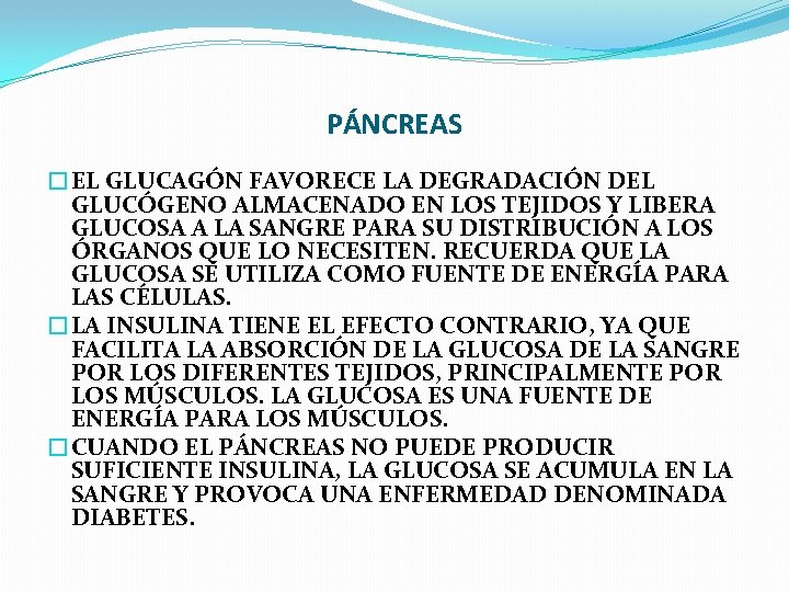 PÁNCREAS �EL GLUCAGÓN FAVORECE LA DEGRADACIÓN DEL GLUCÓGENO ALMACENADO EN LOS TEJIDOS Y LIBERA PÁNCREAS �EL GLUCAGÓN FAVORECE LA DEGRADACIÓN DEL GLUCÓGENO ALMACENADO EN LOS TEJIDOS Y LIBERA