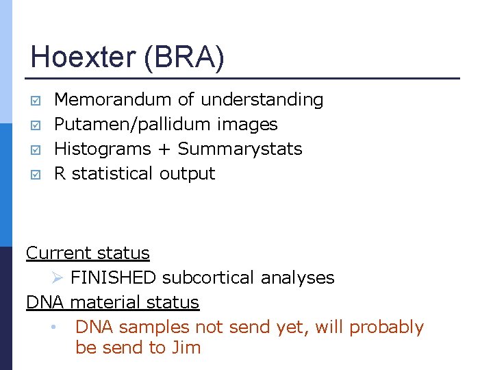 Hoexter (BRA) Memorandum of understanding Putamen/pallidum images Histograms + Summarystats R statistical output Current